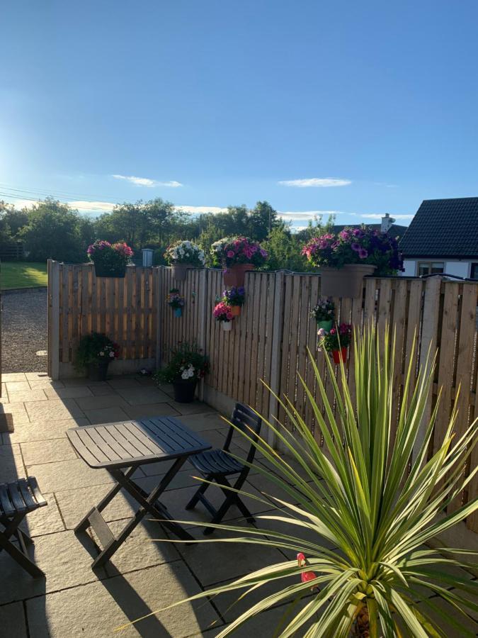 Apartamento Oak Trees Corner Stylish , Relaxing , Getaway Wicklow Exterior foto