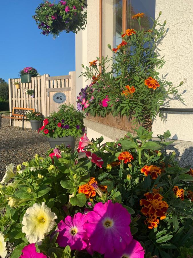 Apartamento Oak Trees Corner Stylish , Relaxing , Getaway Wicklow Exterior foto